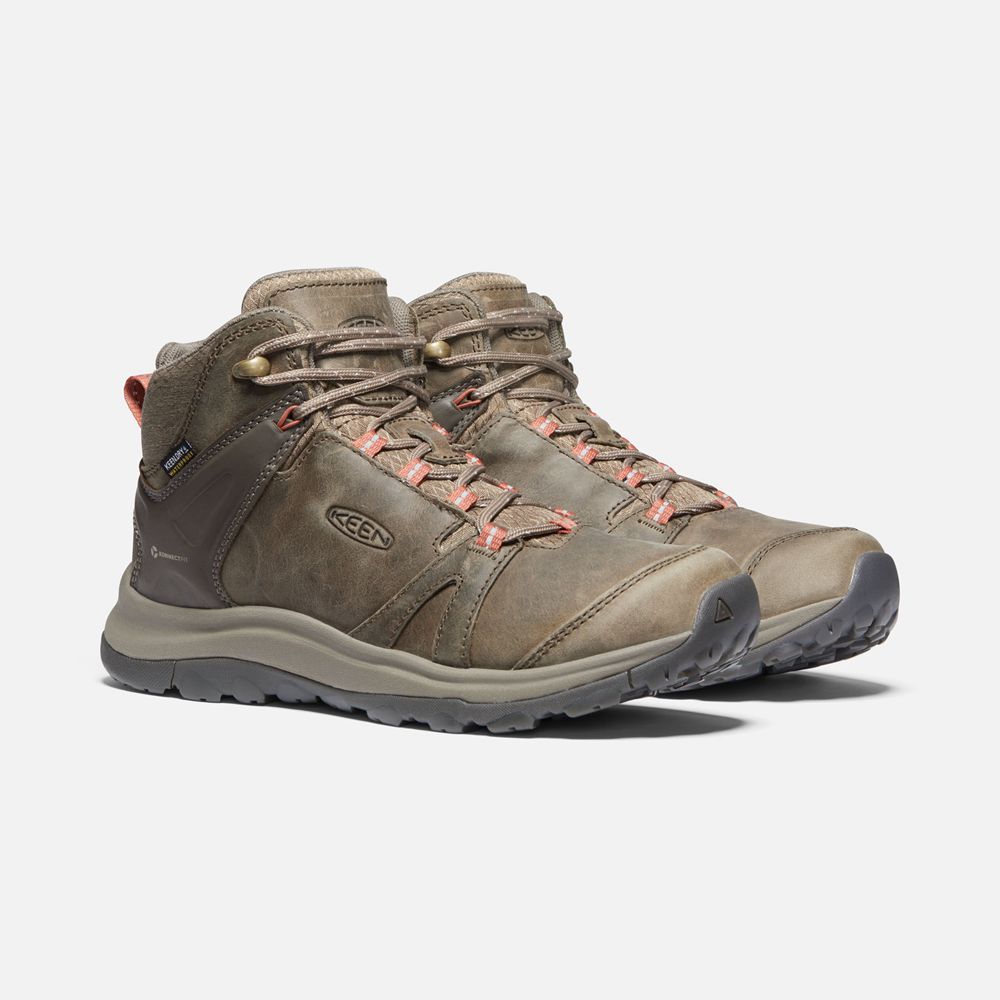 Bottes de Randonnée Keen Femme Marron | Terradora Ii Cuir Waterproof | JBOAE-2807